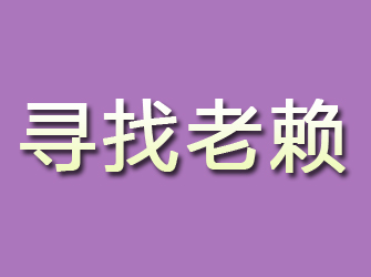 河北区寻找老赖